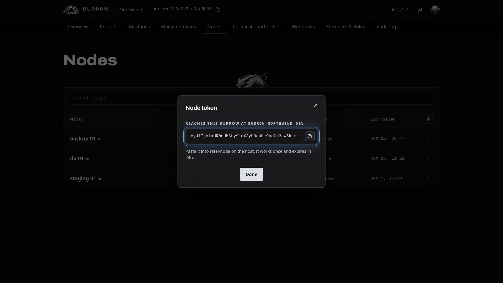 The token, labeled with the URL it reaches your Burrow at.