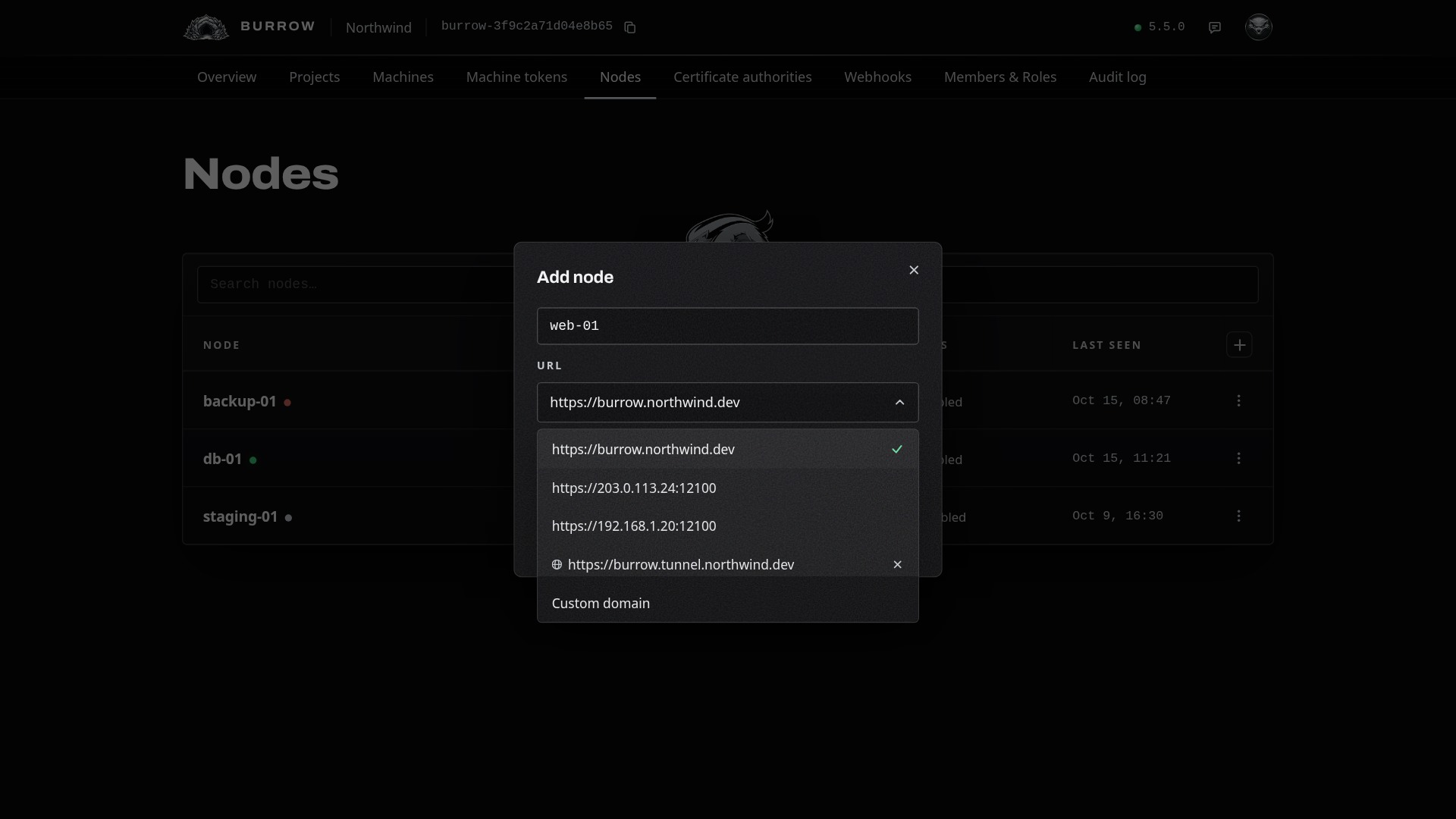 Your Burrow's addresses, a saved custom domain with its globe, and Custom domain.